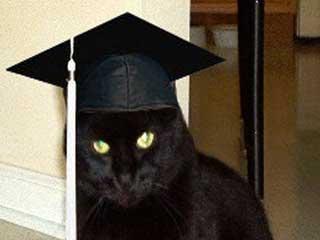 [diploma+cat.jpg]