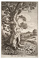 Wenceslas Hollar - The fly and the ant 2.jpg