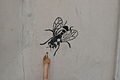 Fly and child, Poznan.JPG