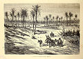 "La forêt de palmiers d'Elche" (19749399080).jpg