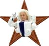 Einstein Robot Barnstar.png