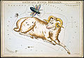 Aries and Musca Borealis2.jpg