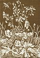 Flies, Flowers and Grasshopper Drawing.jpg