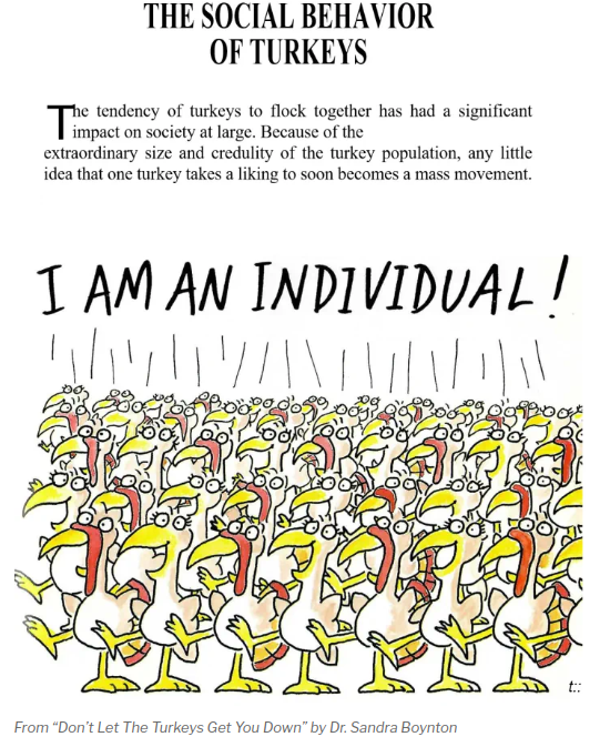 I am an individual!